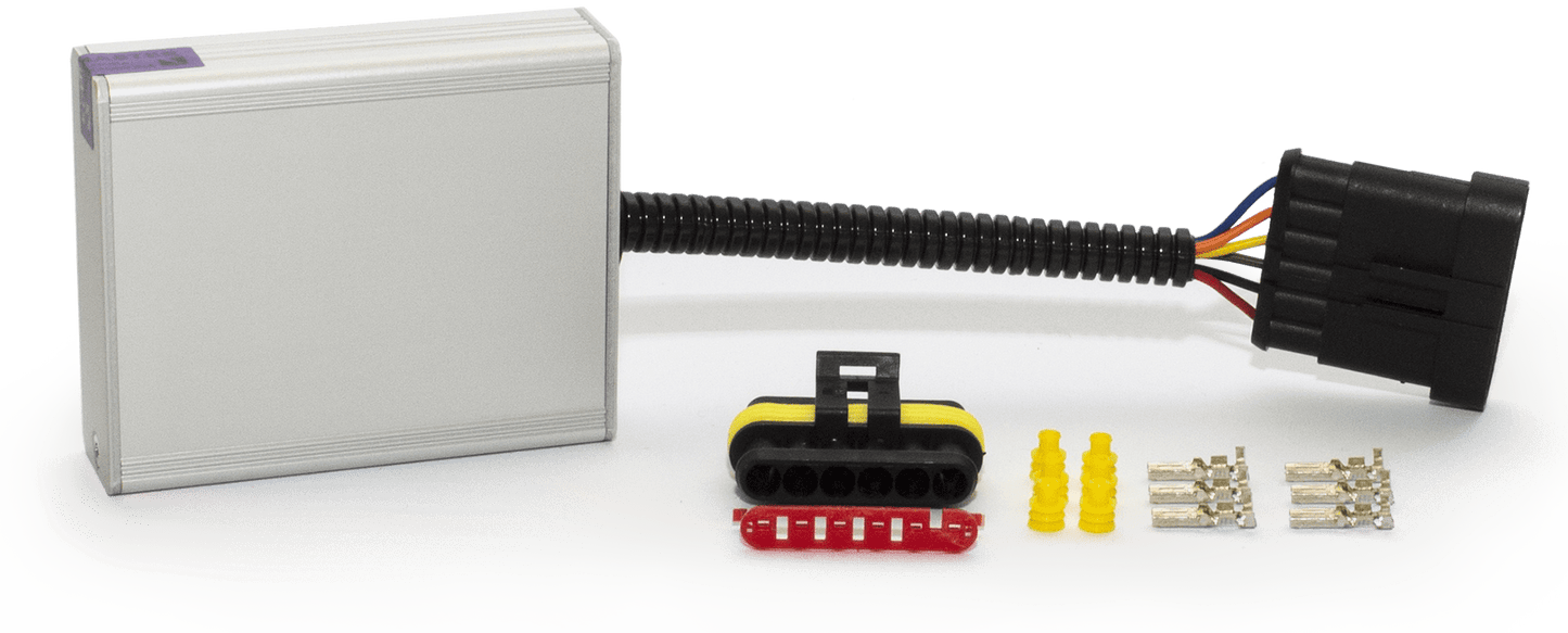 Ecumaster DBW Module