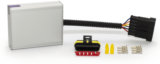 Ecumaster DBW Module